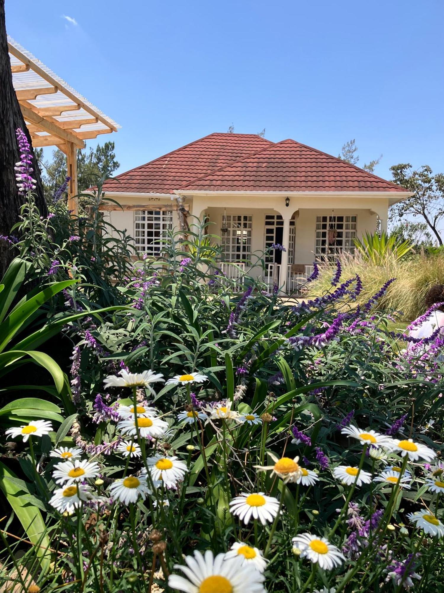 Allamanda House Meru Bed & Breakfast Arusha Exterior photo