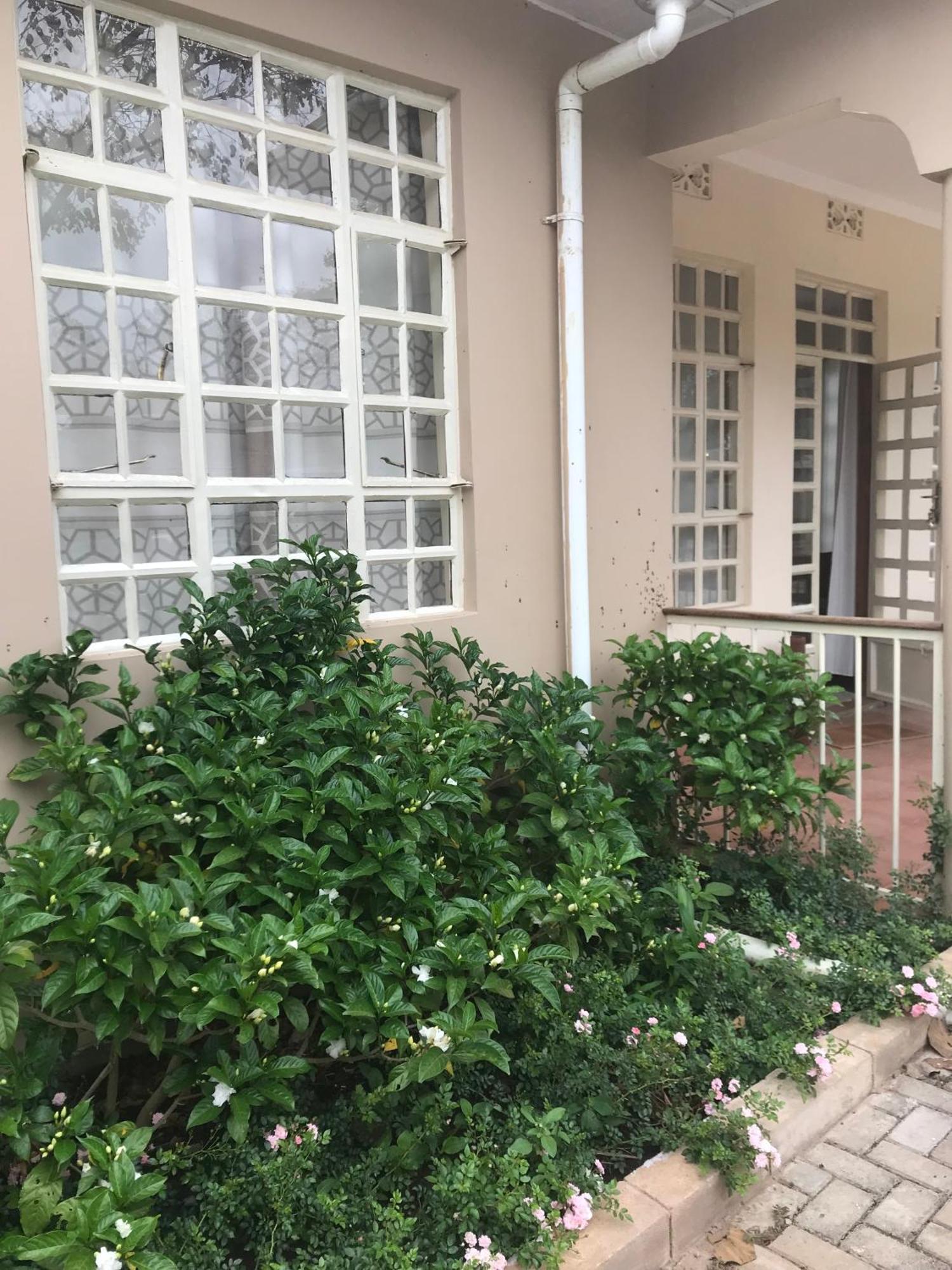 Allamanda House Meru Bed & Breakfast Arusha Exterior photo